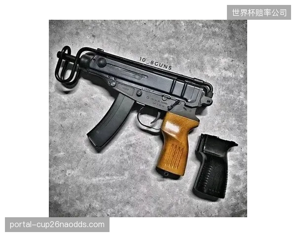 索切克的防守与巴拉卡的组织构成中场核心，两人状态决定捷克队战术上限。